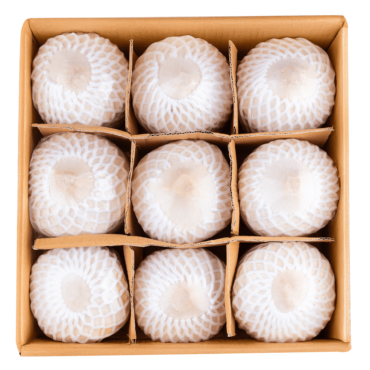 Thai Young Coconut 9ct 1 case