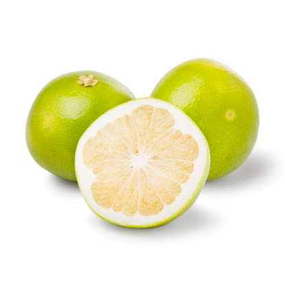 Melogold Grapefruit 5 count