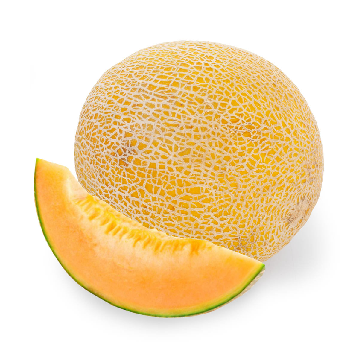 MAG Melon 1 count