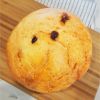 Raisin Dry Custard 4.2oz 1 each