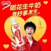 YINLU Peanut Milk 450 ml
