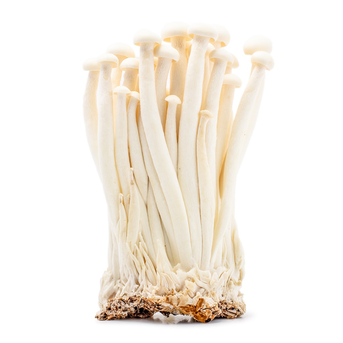 Seafood Mushroom 150 g